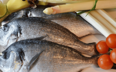 La Tradizione del Pesce di Pasqua in Italia: Origini e Significato